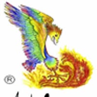 Centro di Kinesiologia Transazionale
