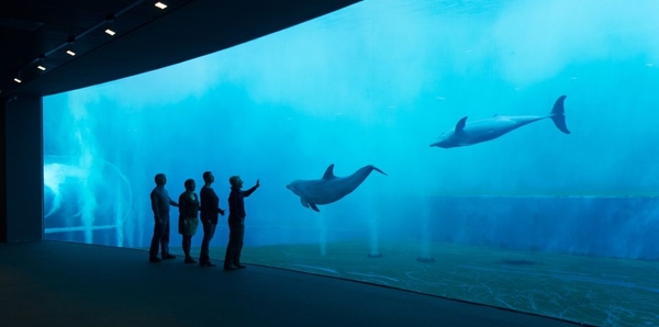 Acquario di Genova