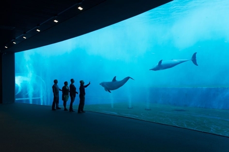 Acquario di Genova