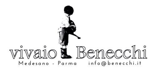 VIVAIO BENECCHI